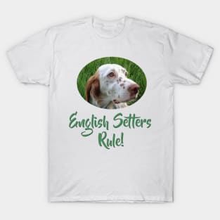 English Setters Rule! T-Shirt